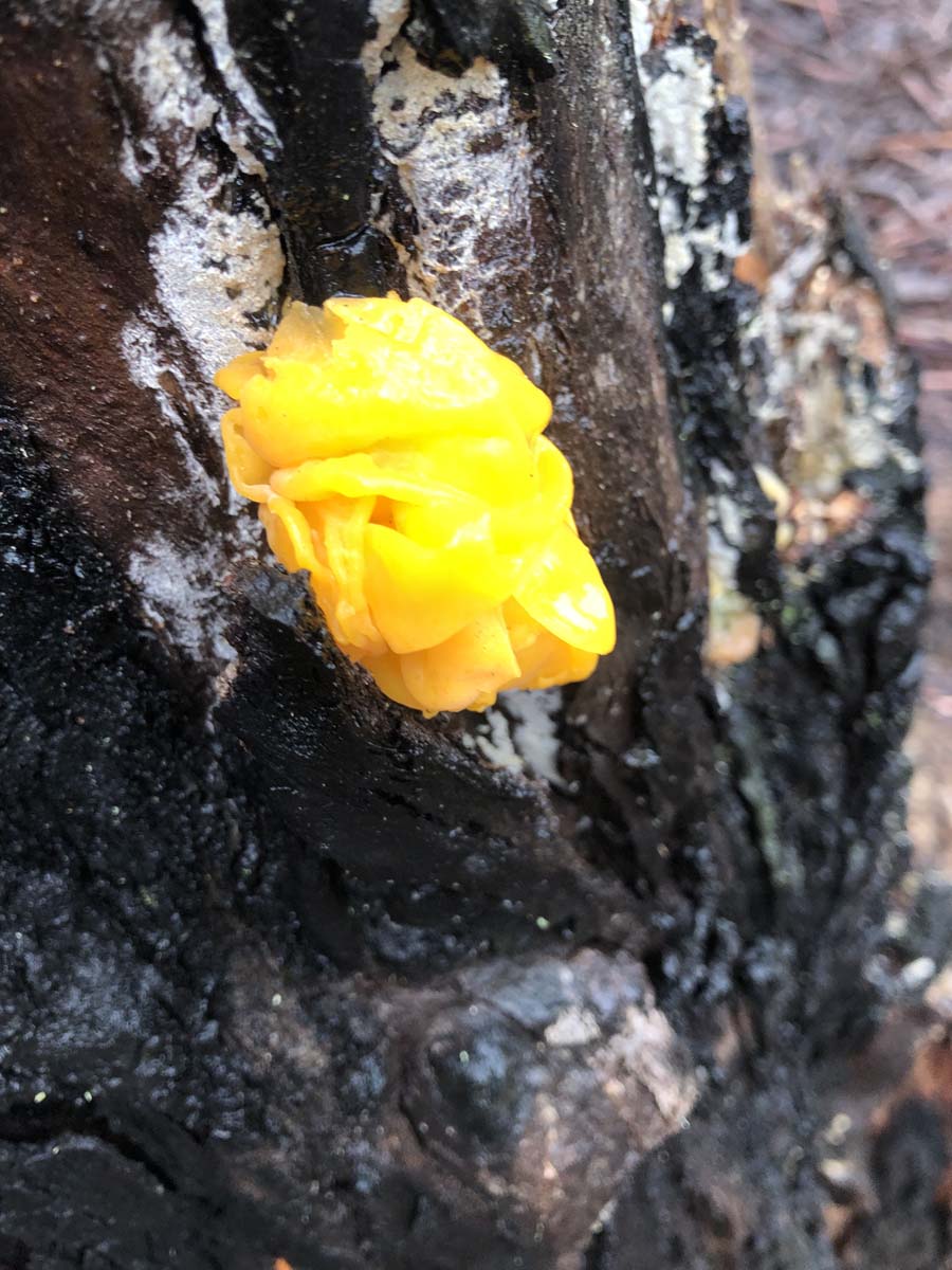 Tipperary twin bridges circuit hike 38