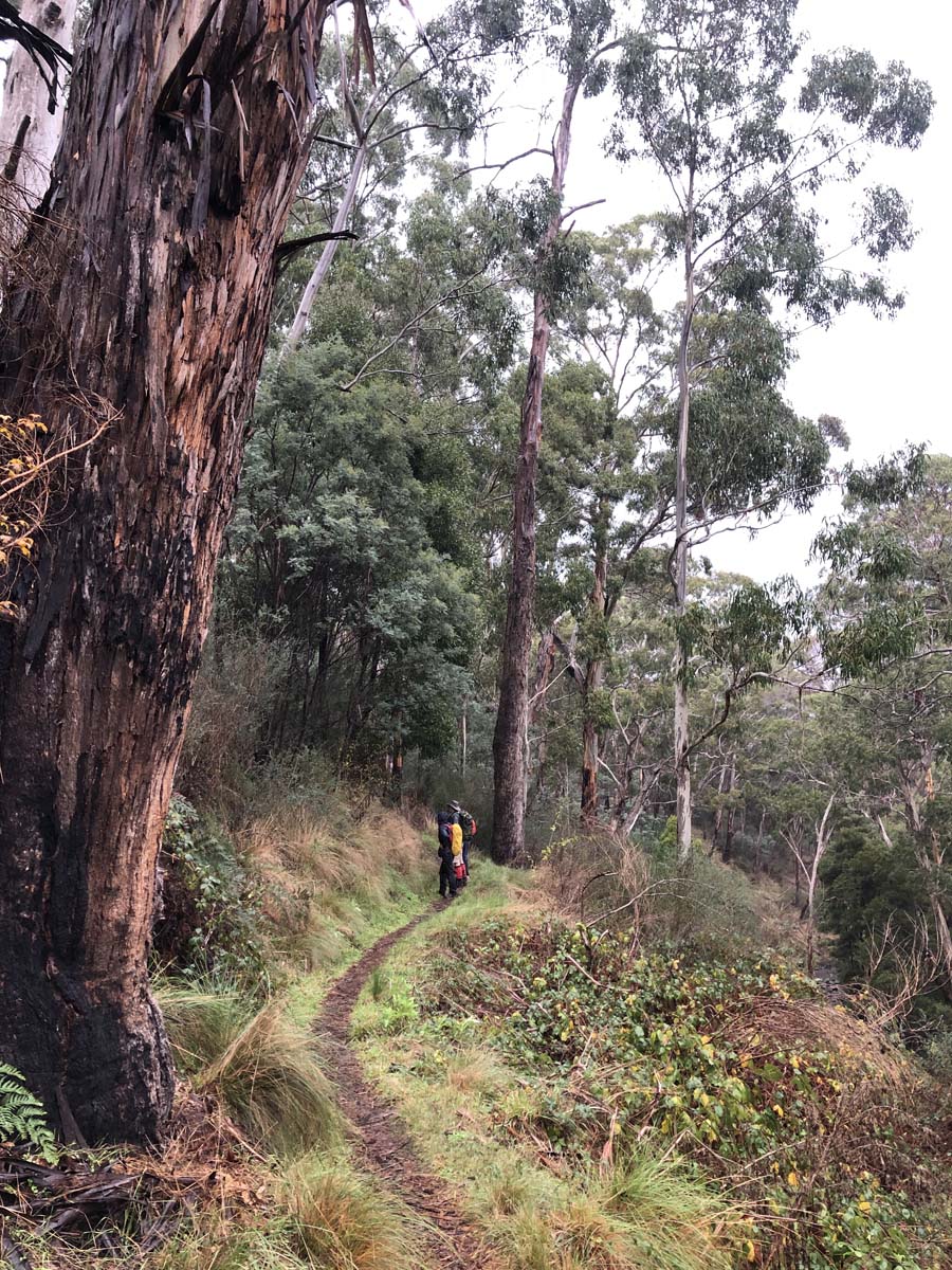 Tipperary twin bridges circuit hike 41