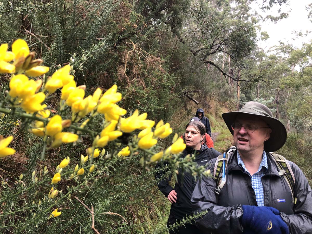 Tipperary twin bridges circuit hike 42