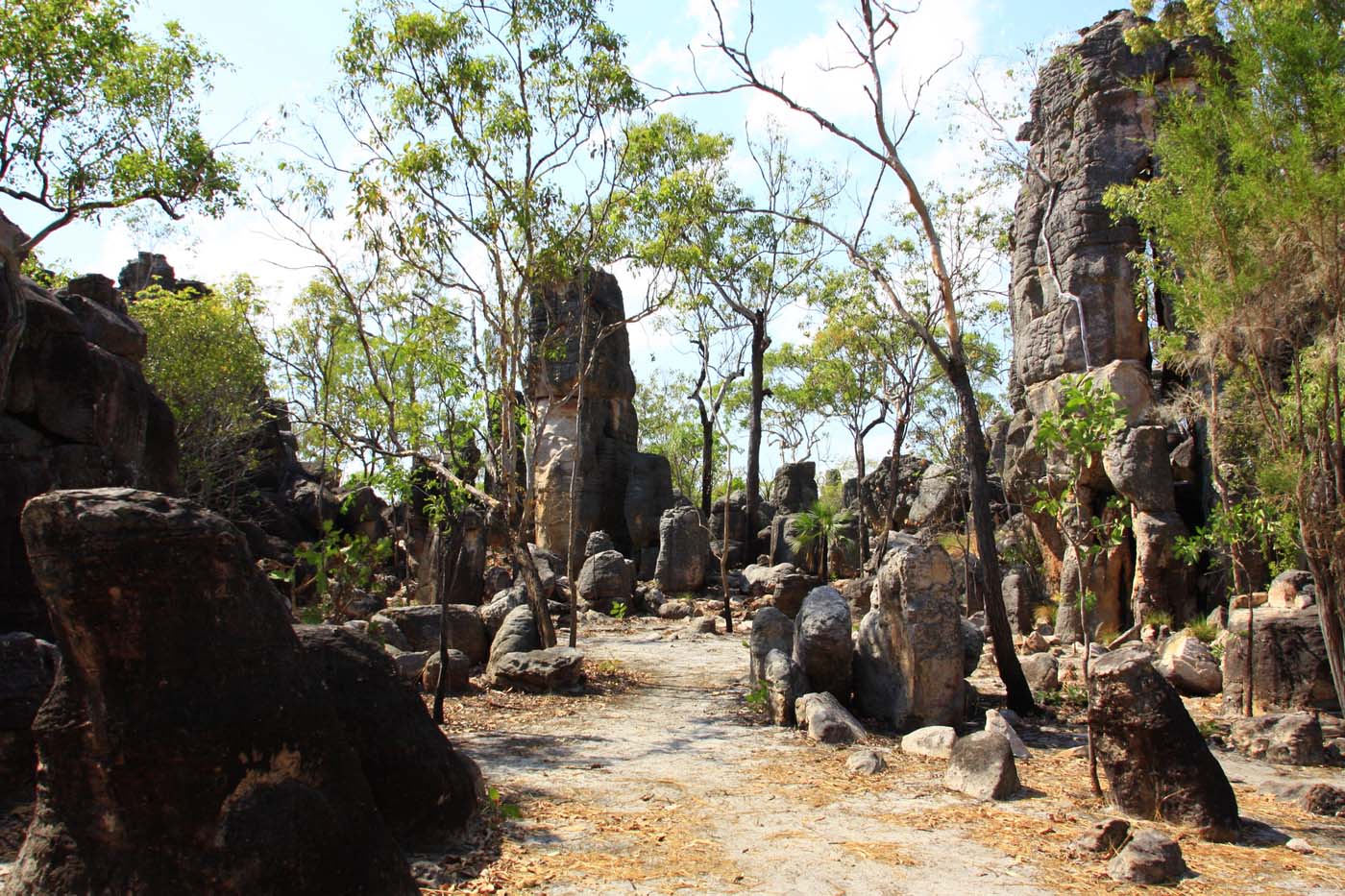 Tolmer falls lost city litchfield (3)