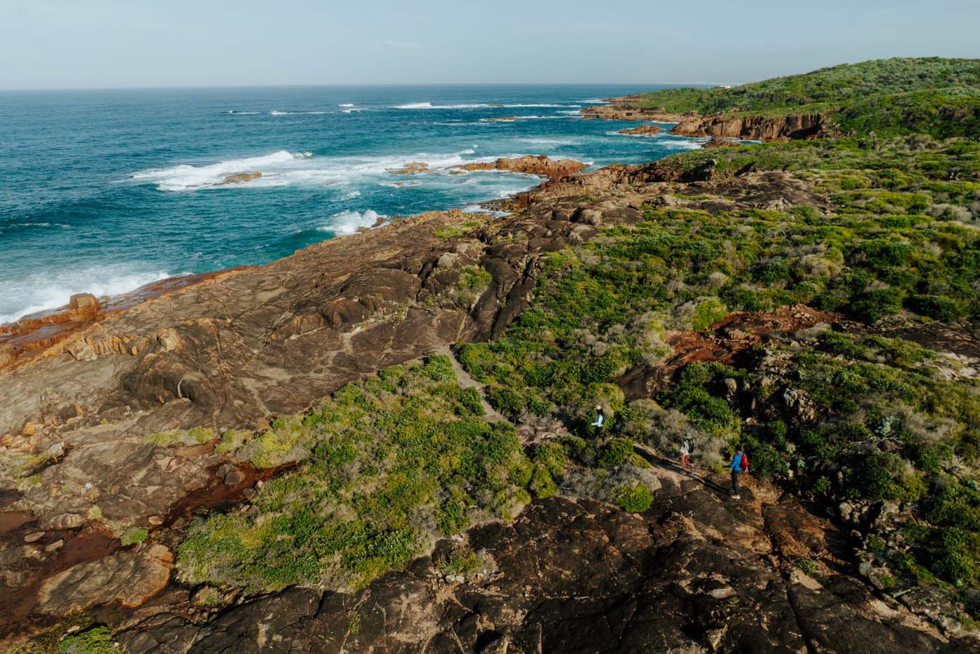 Tomaree coastal walk credit dparsons dcceew