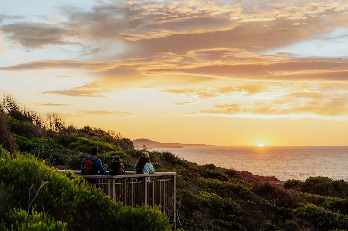 Tomaree coastal walk credit rbrand dcceew (2)