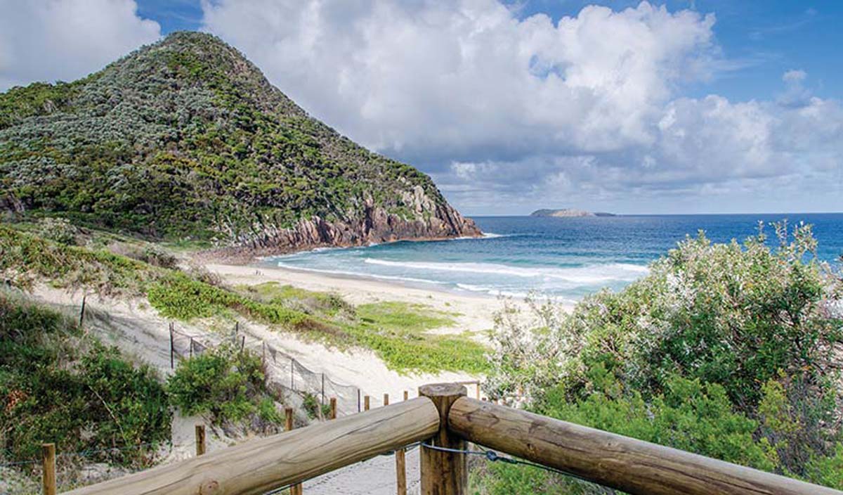 Tomaree head summit walk (3)