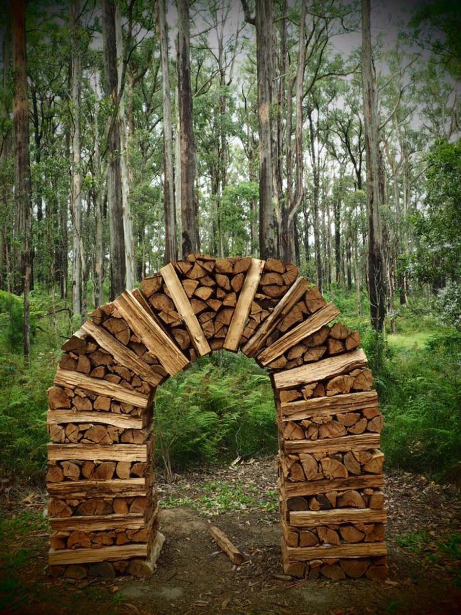 Toolangi sculpture trail walk 3