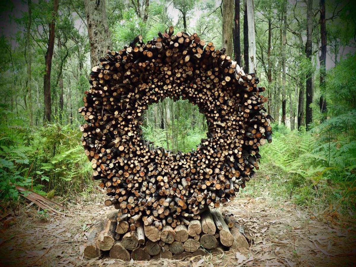 Toolangi sculpture trail walk 4