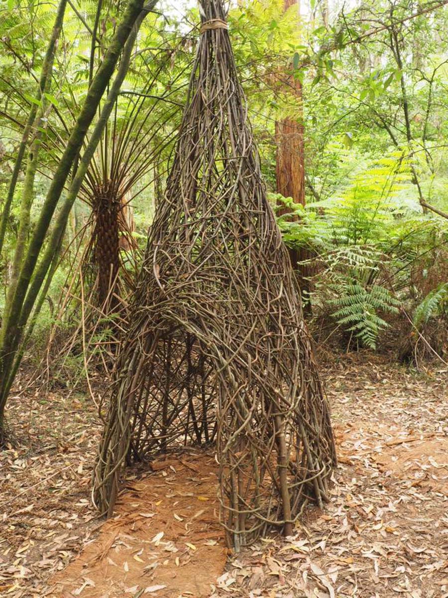 Toolangi sculpture trail walk 6