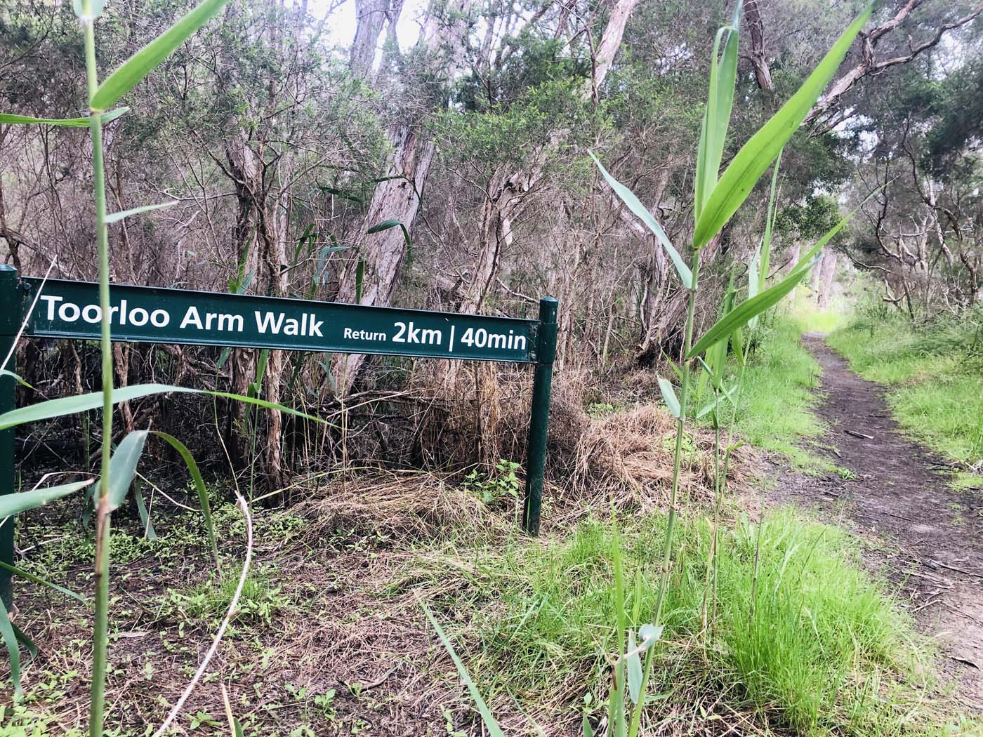 Toorloo arm walk (11)
