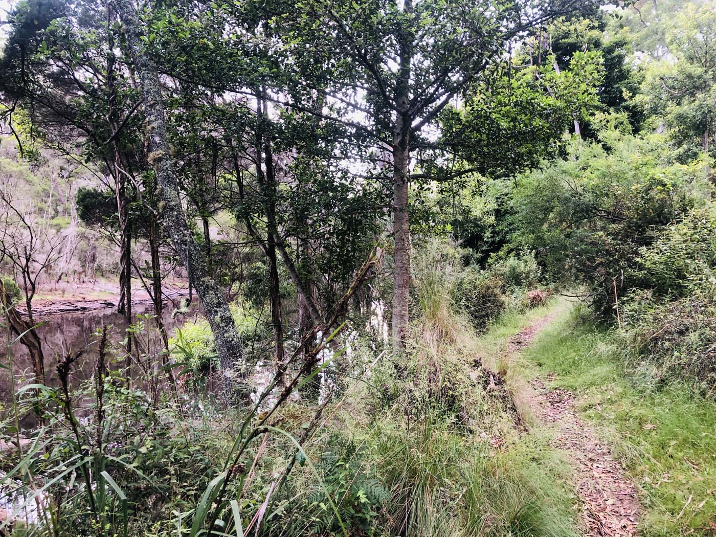 Toorloo arm walk (7)