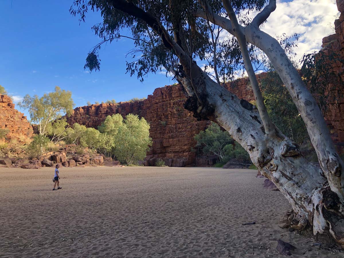 Trephina gorge walk 7