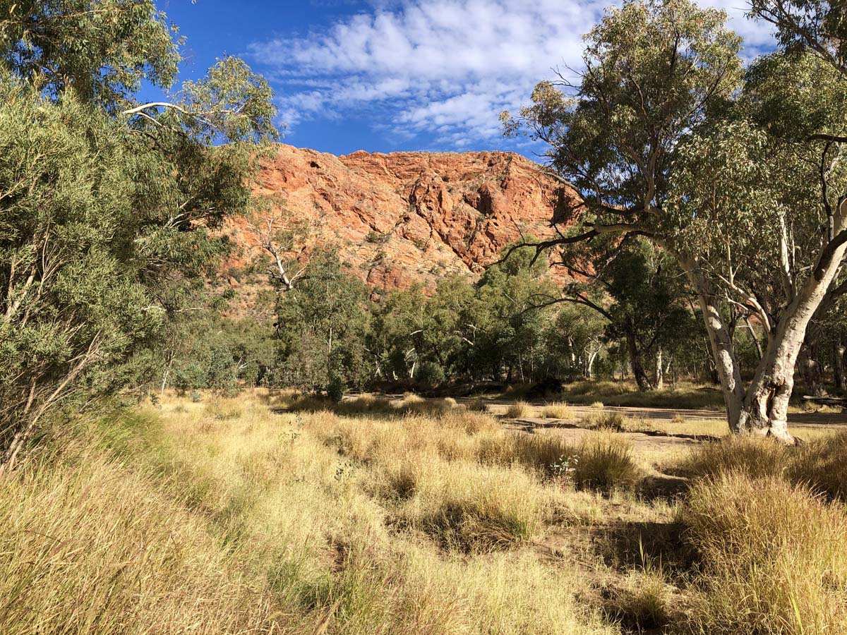 Trephina panorama walk 1