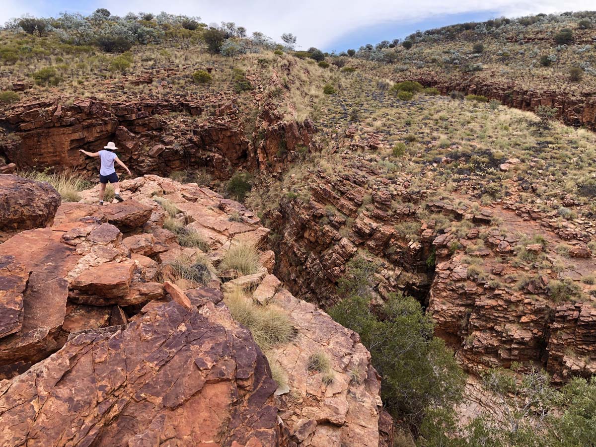 Trephina ridgetop walk (1)