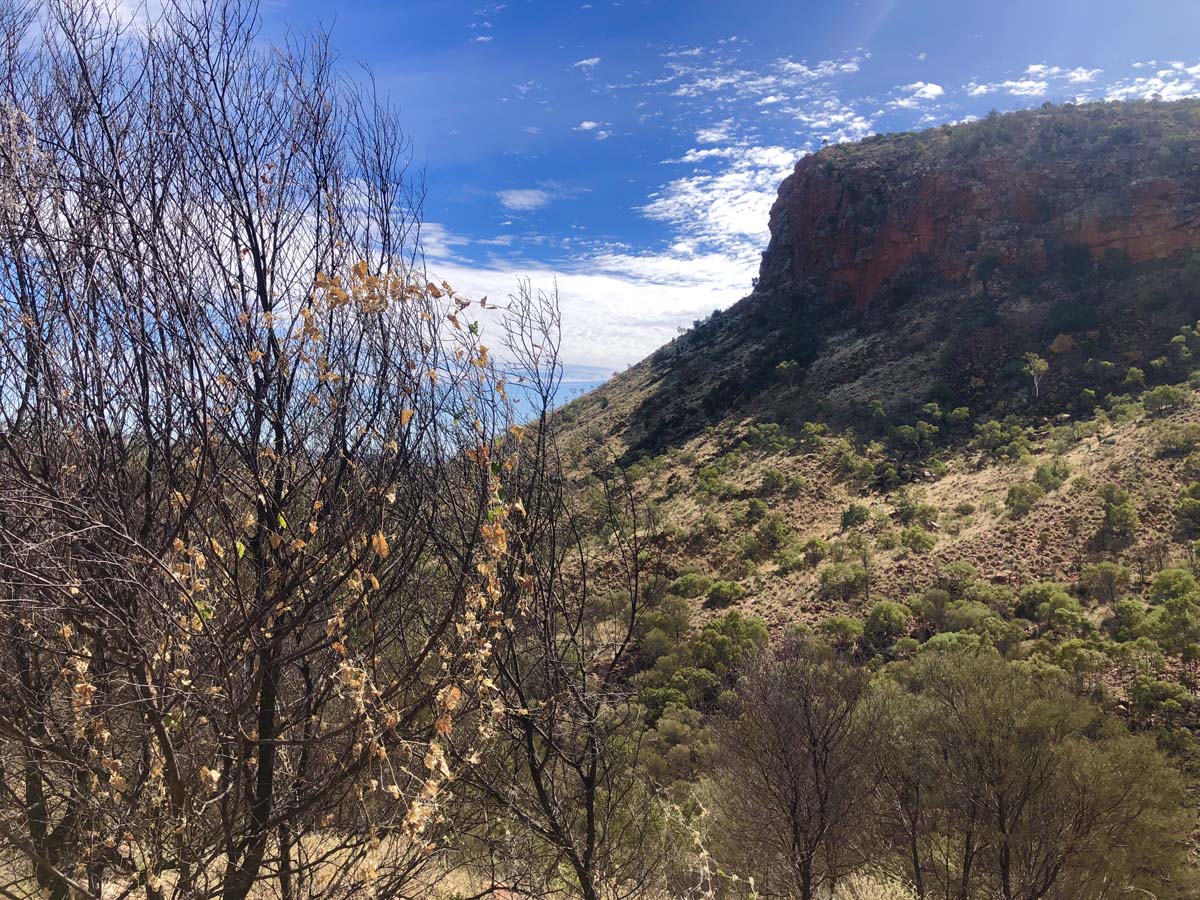 Trephina ridgetop walk (4)