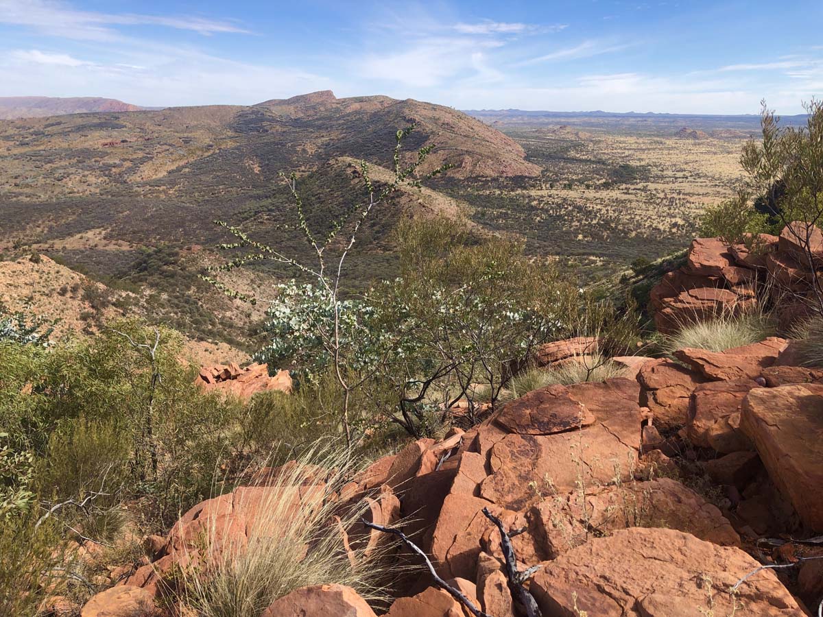 Trephina ridgetop walk (5)