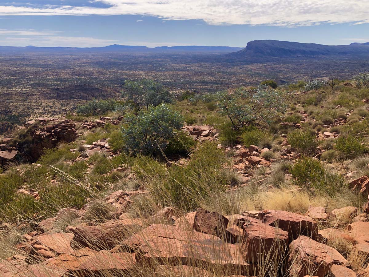 Trephina ridgetop walk (7)