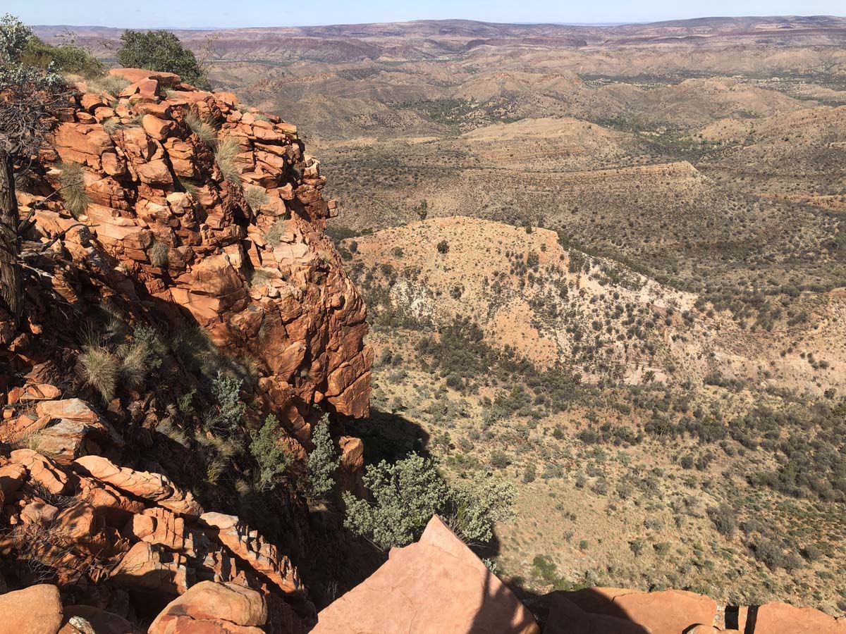 Trephina ridgetop walk (8)