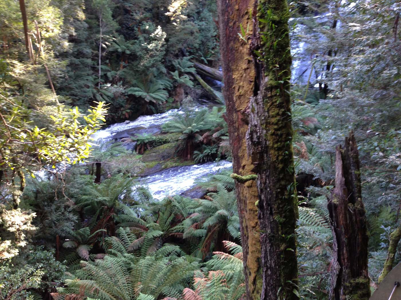 Triplet falls circuit walk (10)