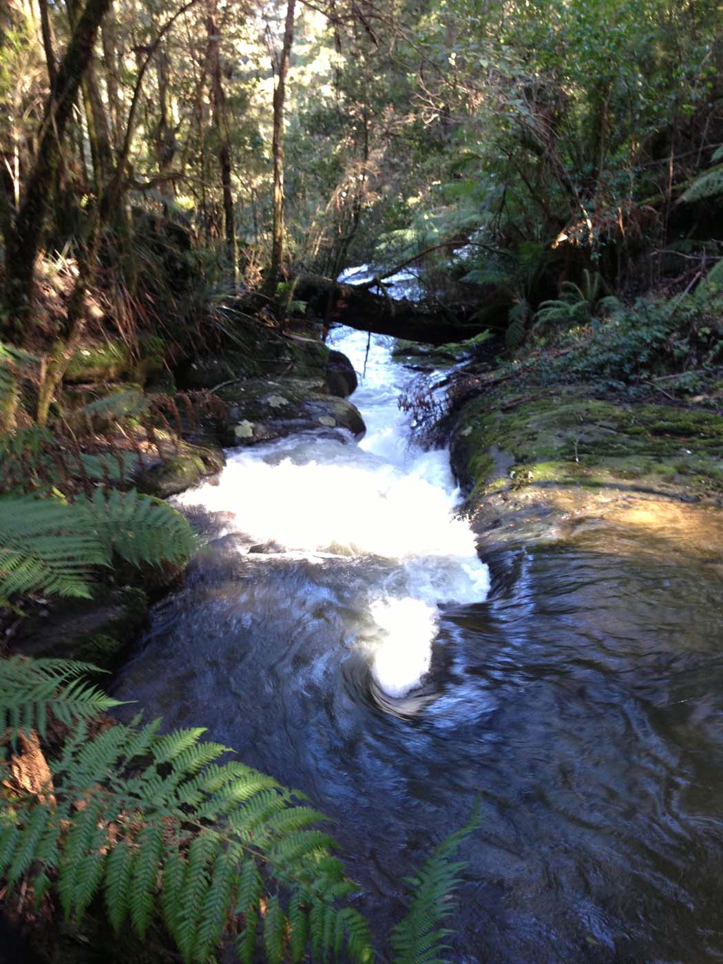 Triplet falls circuit walk (2)