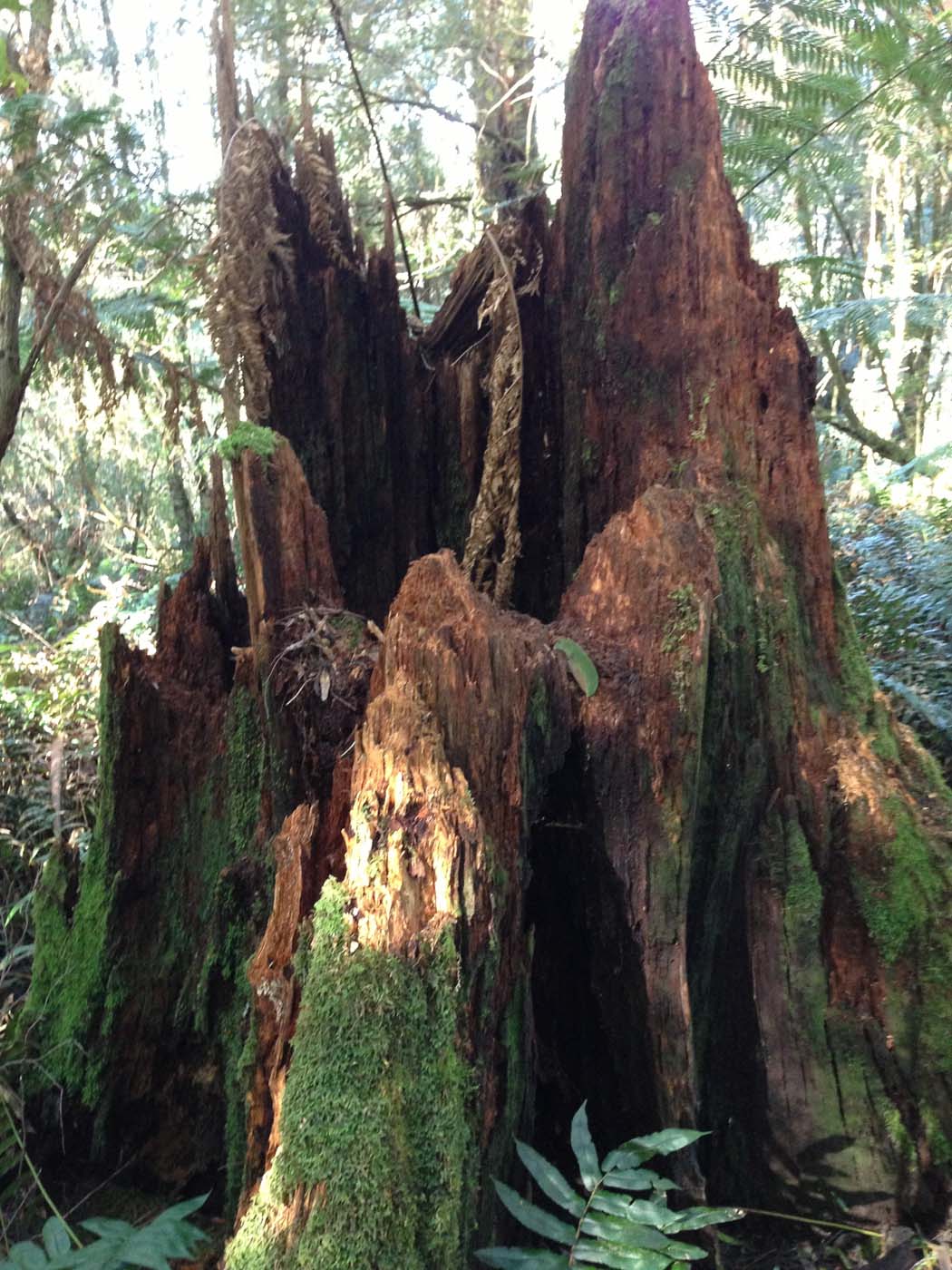 Triplet falls circuit walk (6)
