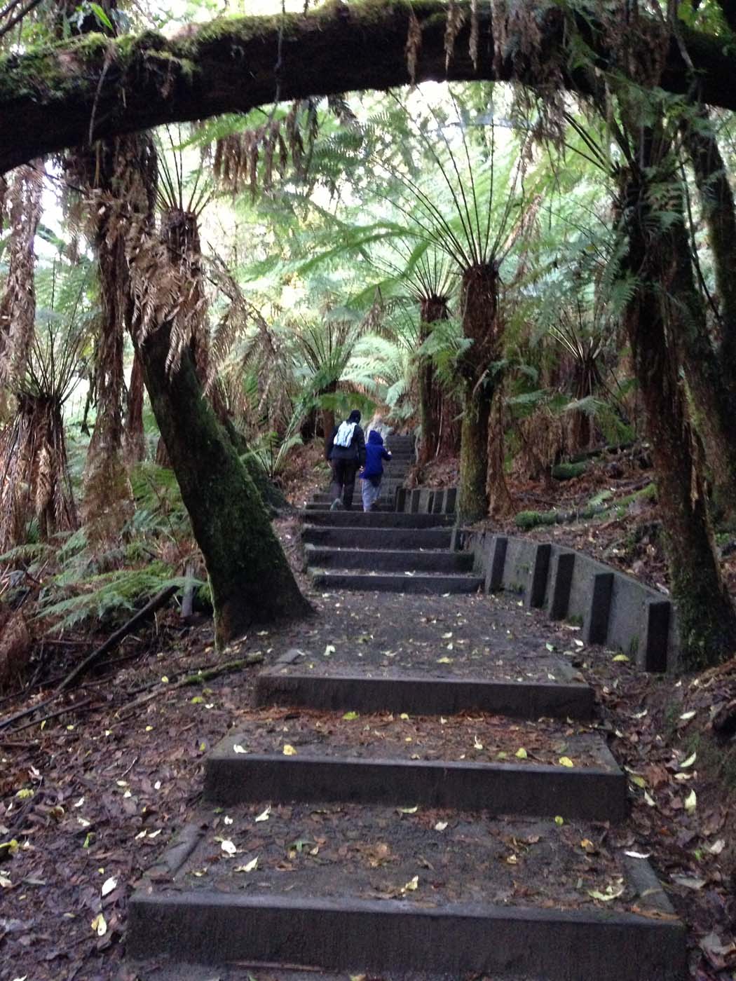 Triplet falls circuit walk (8)