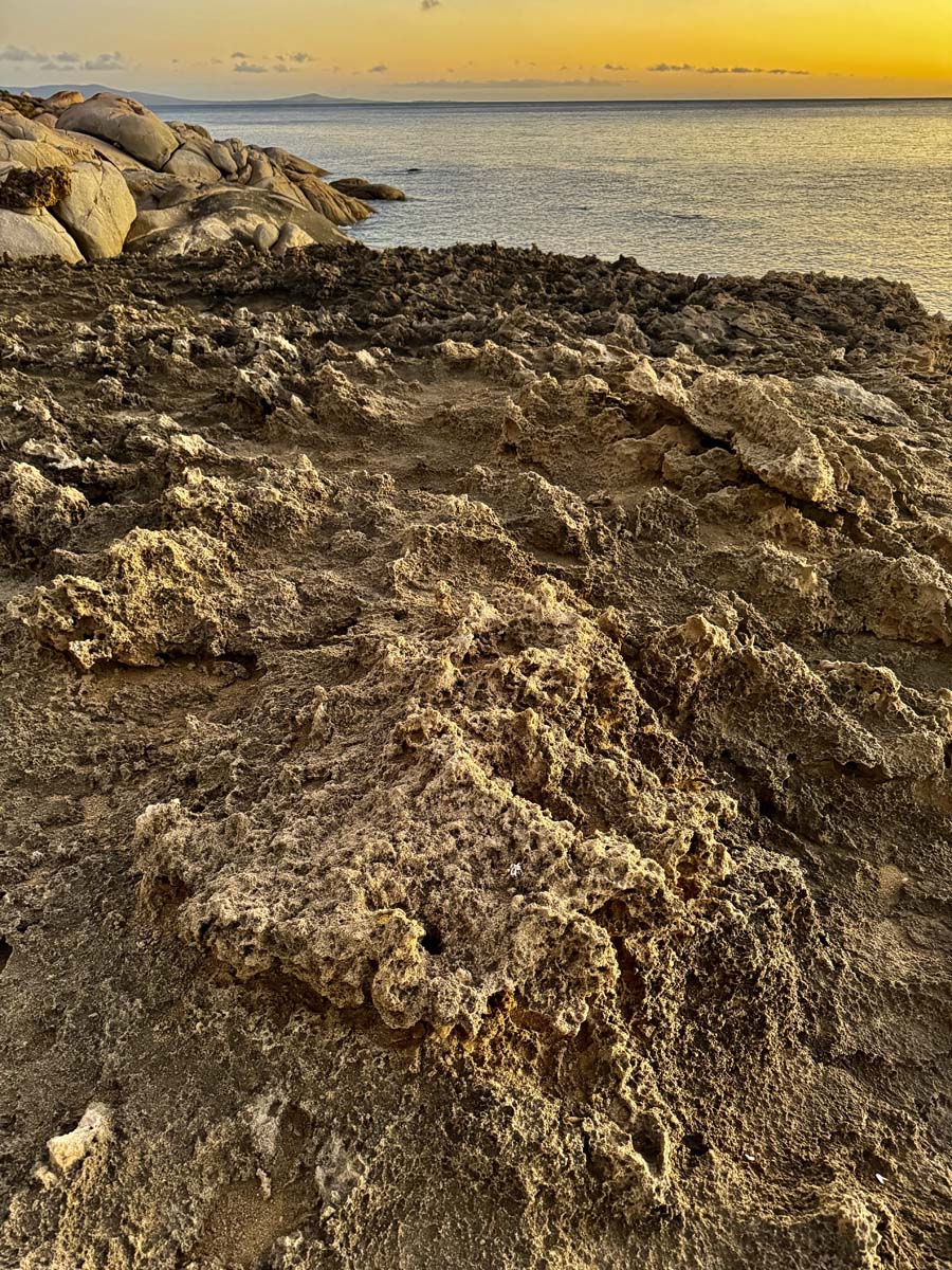 Trousers point walk flinders island 13
