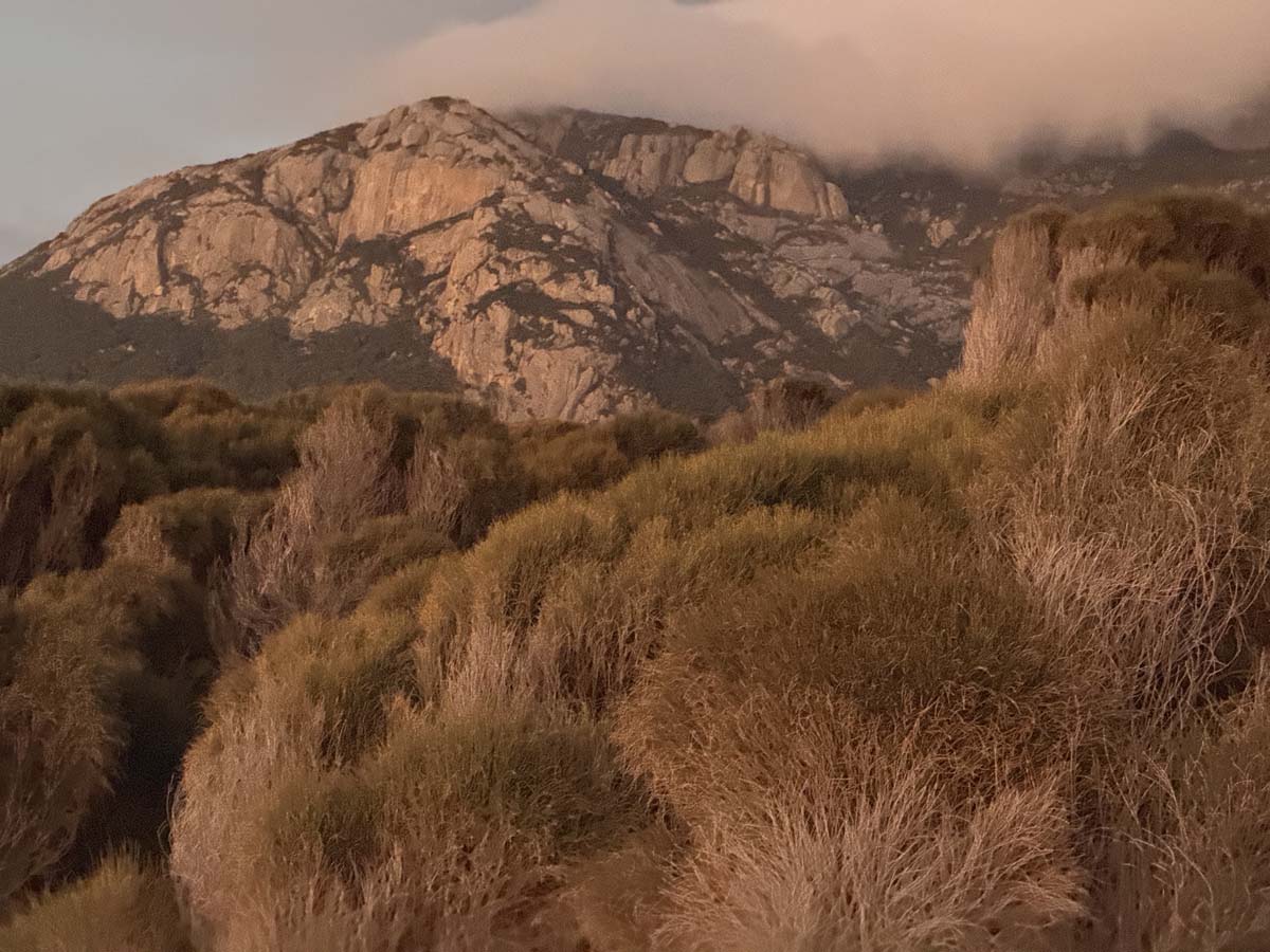 Trousers point walk flinders island 17