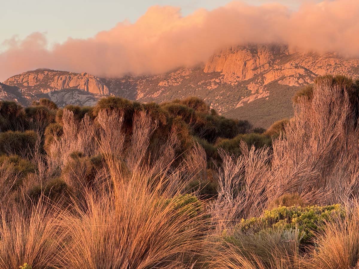 Trousers point walk flinders island 4