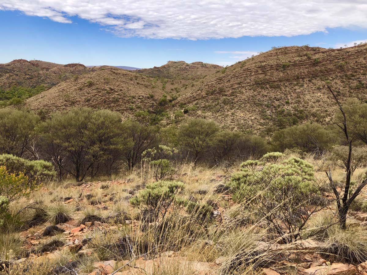 Turners lookout & chain of ponds hike 1