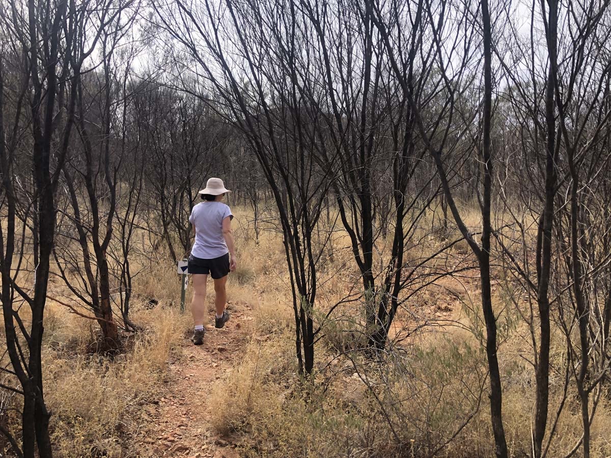 Turners lookout & chain of ponds hike 10