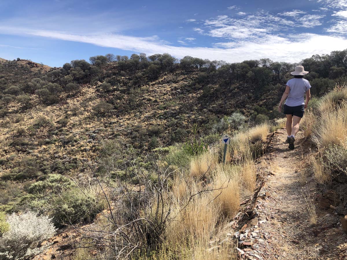 Turners lookout & chain of ponds hike 11