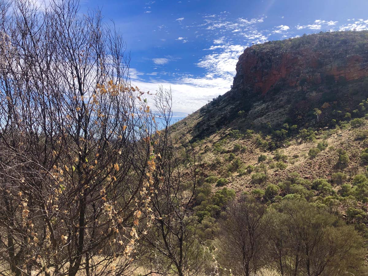 Turners lookout & chain of ponds hike 13