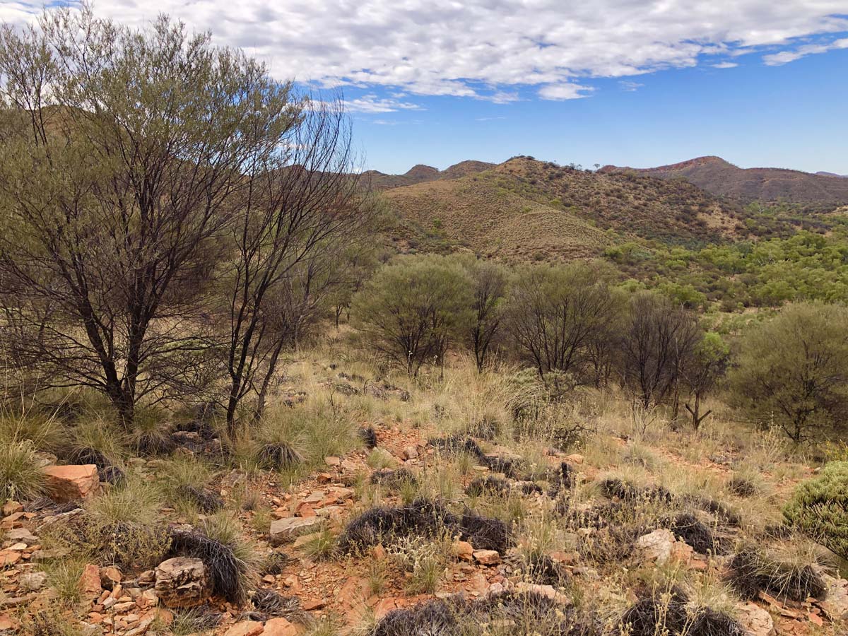 Turners lookout & chain of ponds hike 2