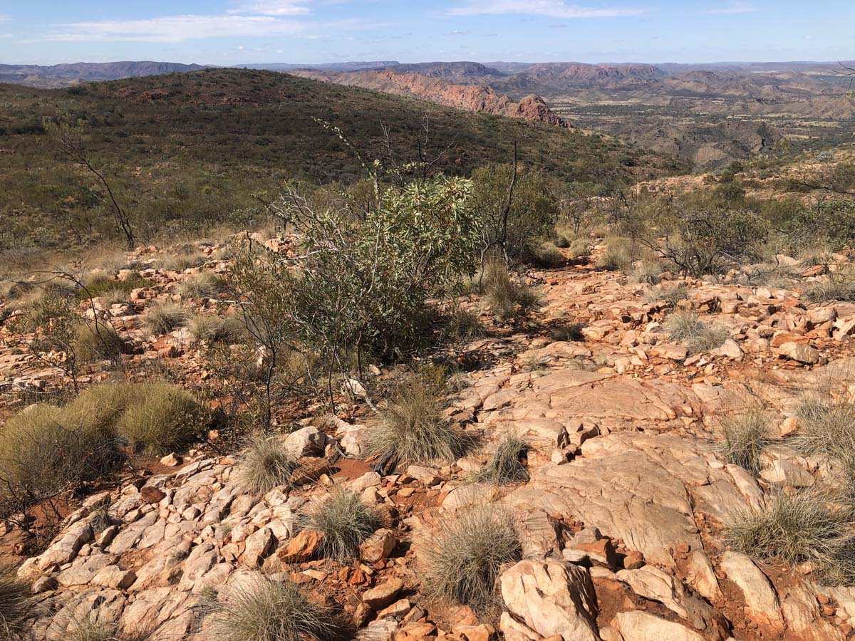 Turners lookout & chain of ponds hike 23