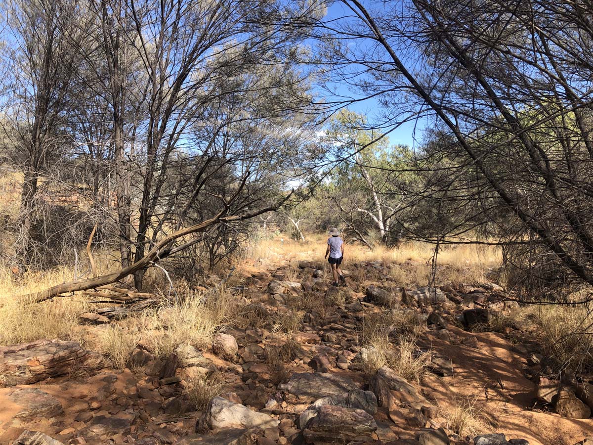 Turners lookout & chain of ponds hike 25