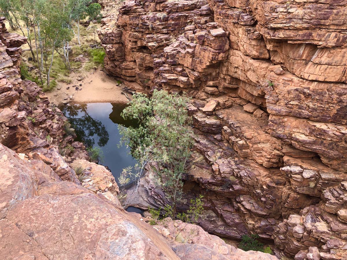Turners lookout & chain of ponds hike 7