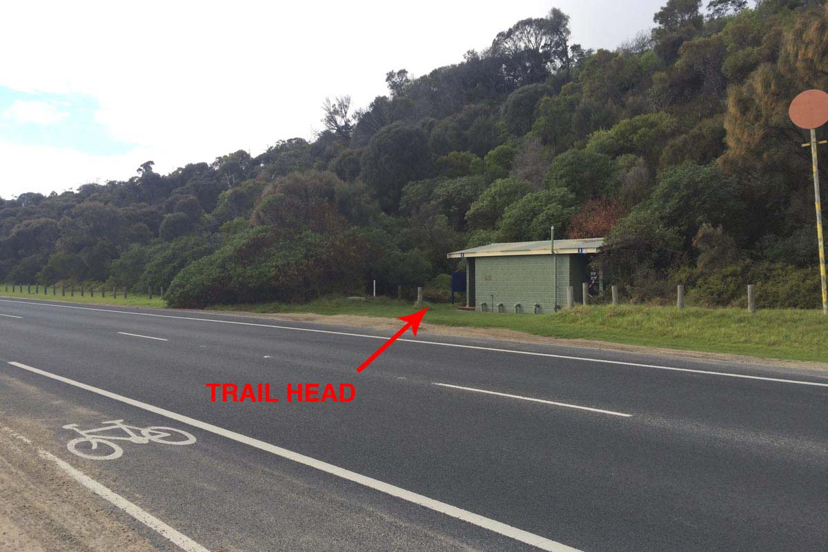 Two bays walking track 1