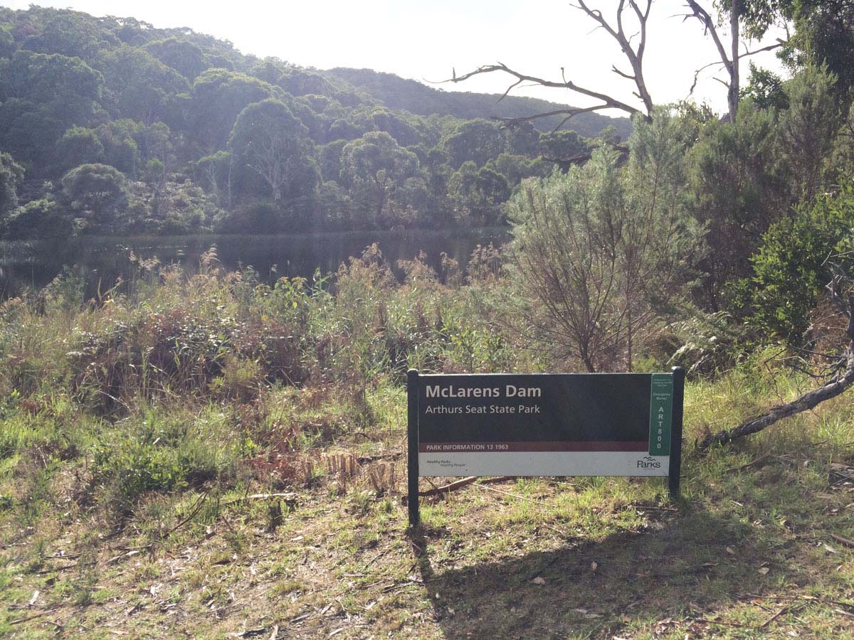 Two bays walking track 10