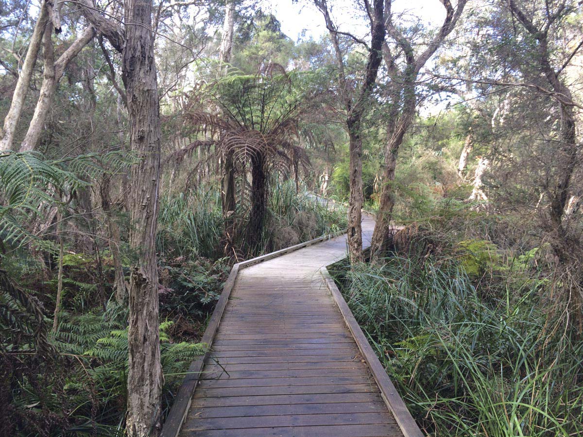 Two bays walking track 11