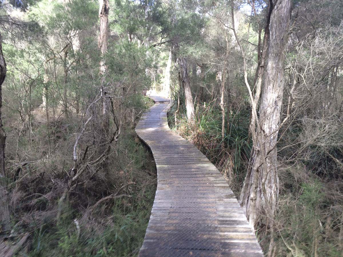 Two bays walking track 12