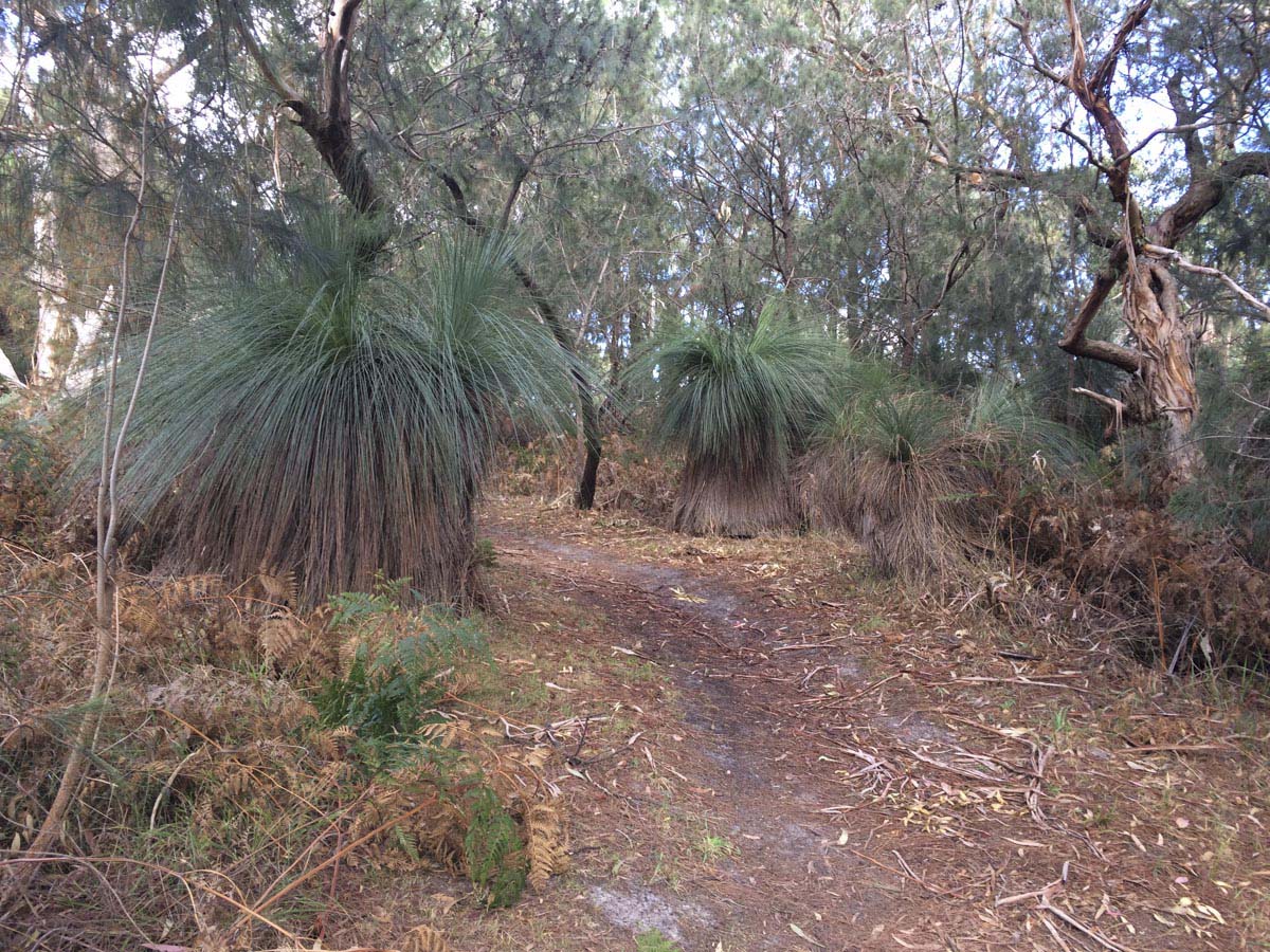 Two bays walking track 13