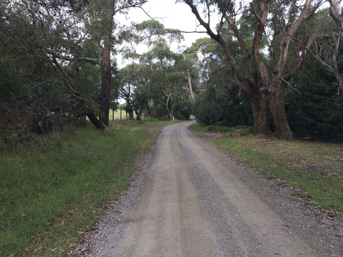 Two bays walking track 14