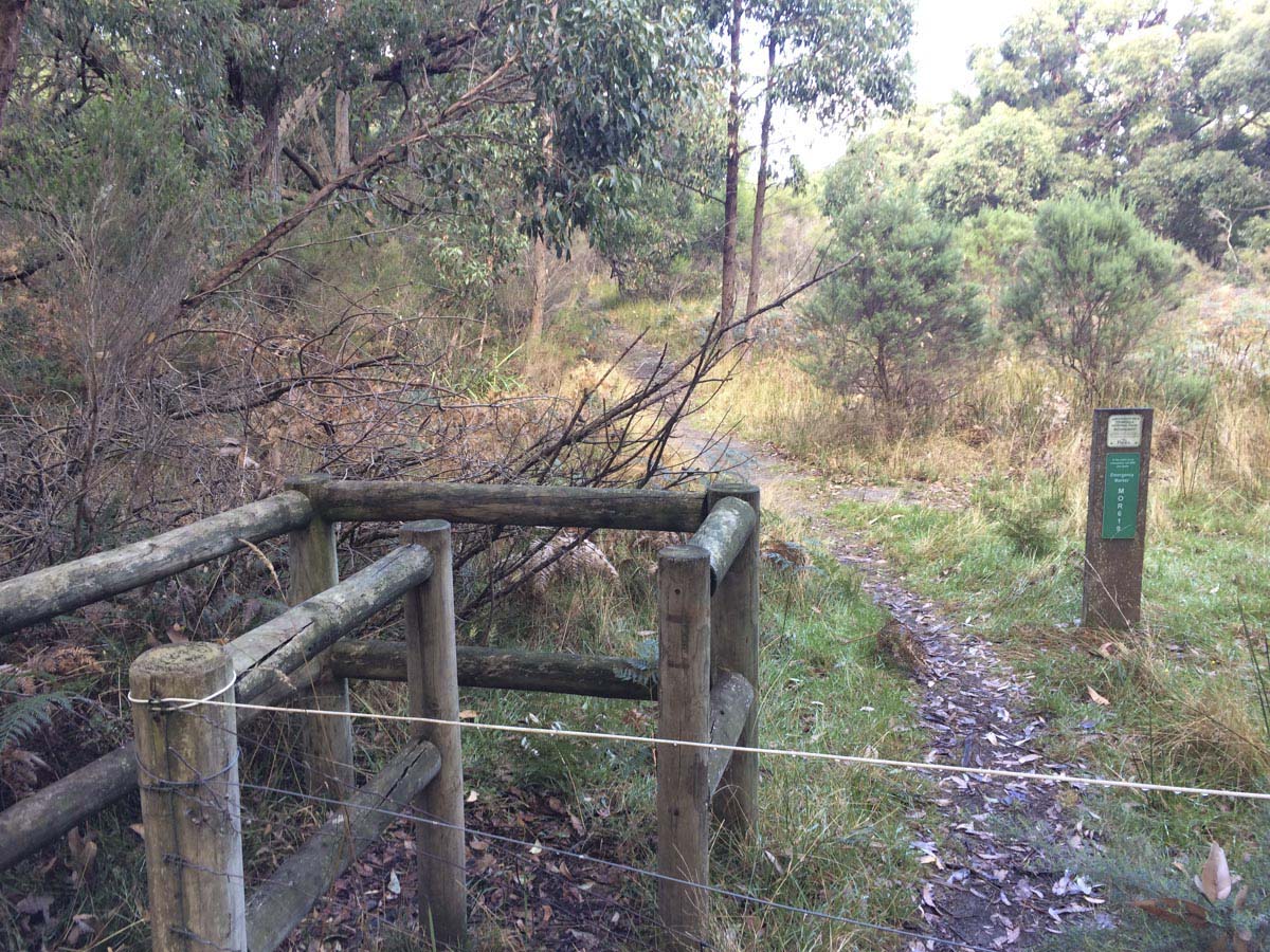 Two bays walking track 15