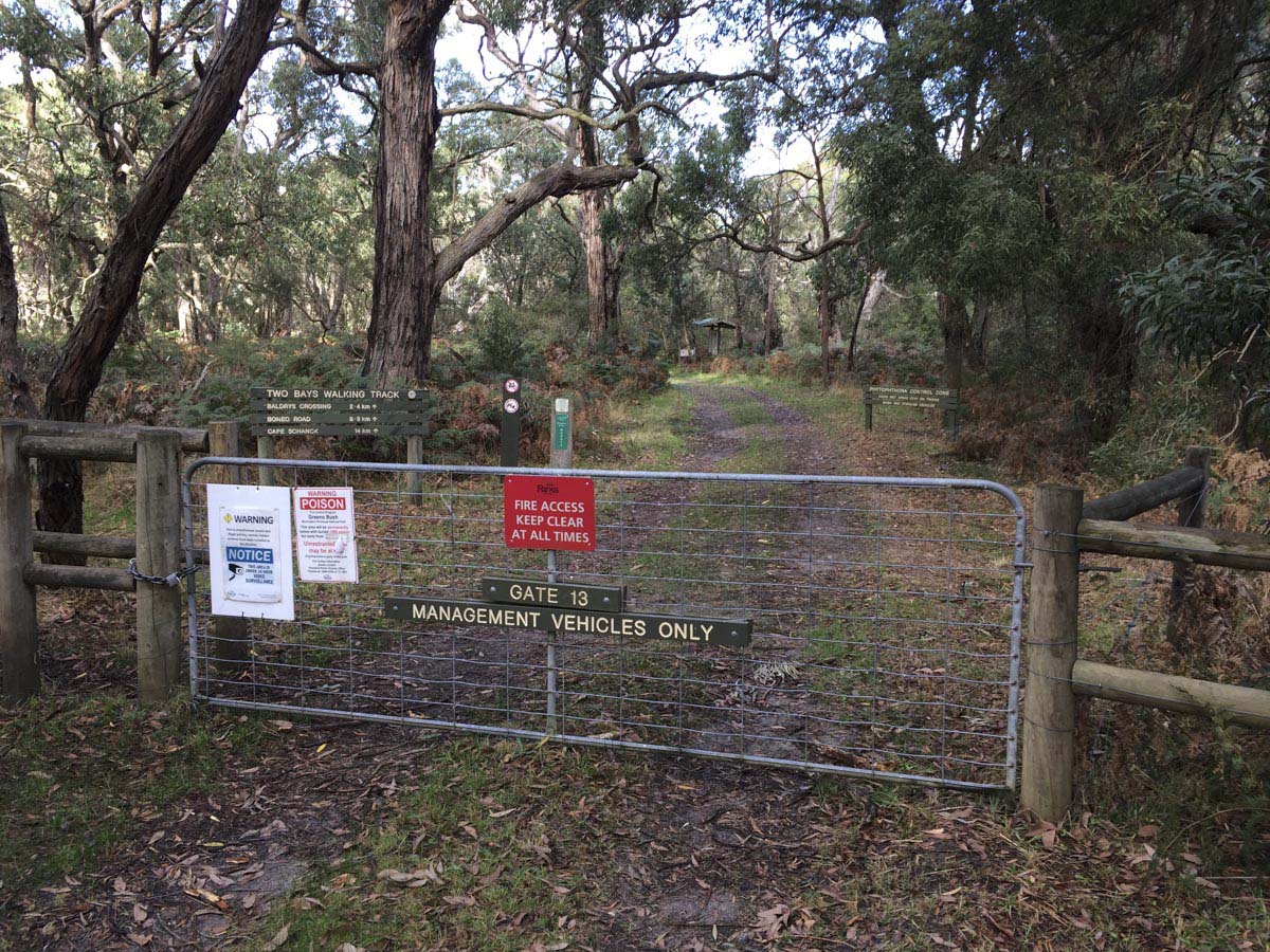Two bays walking track 17