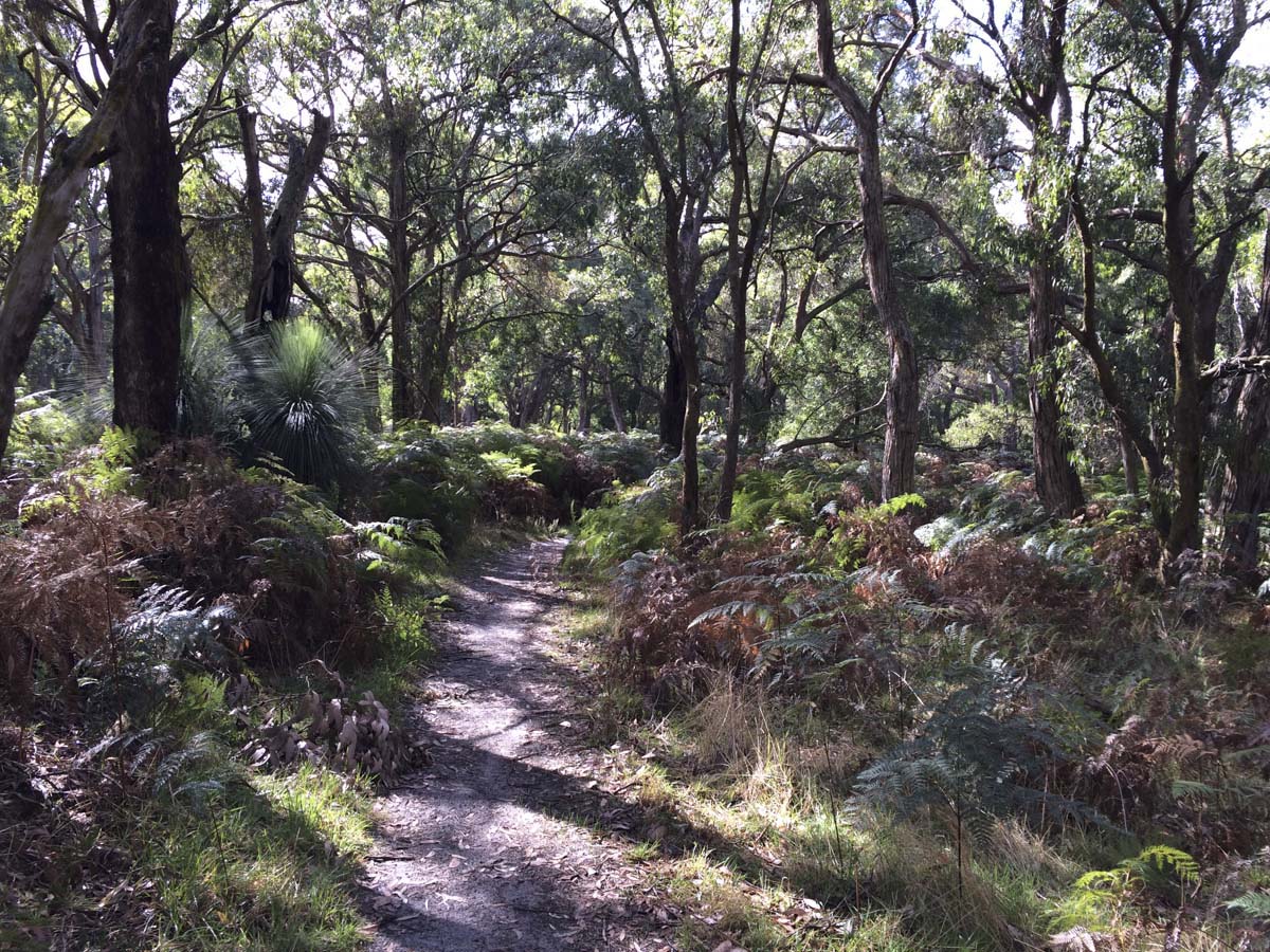 Two bays walking track 19