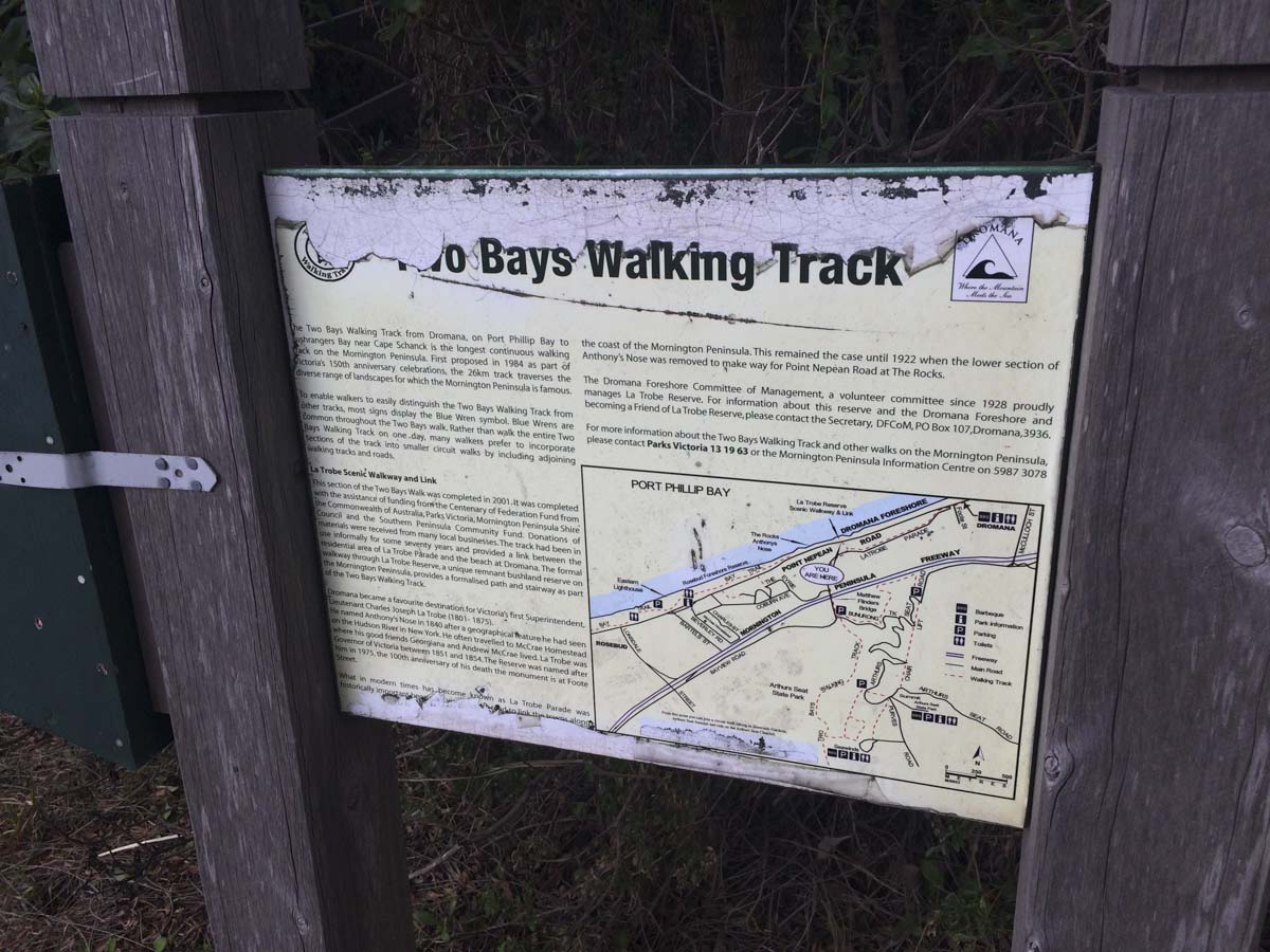 Two bays walking track 2
