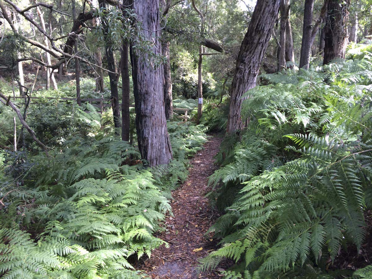 Two bays walking track 21