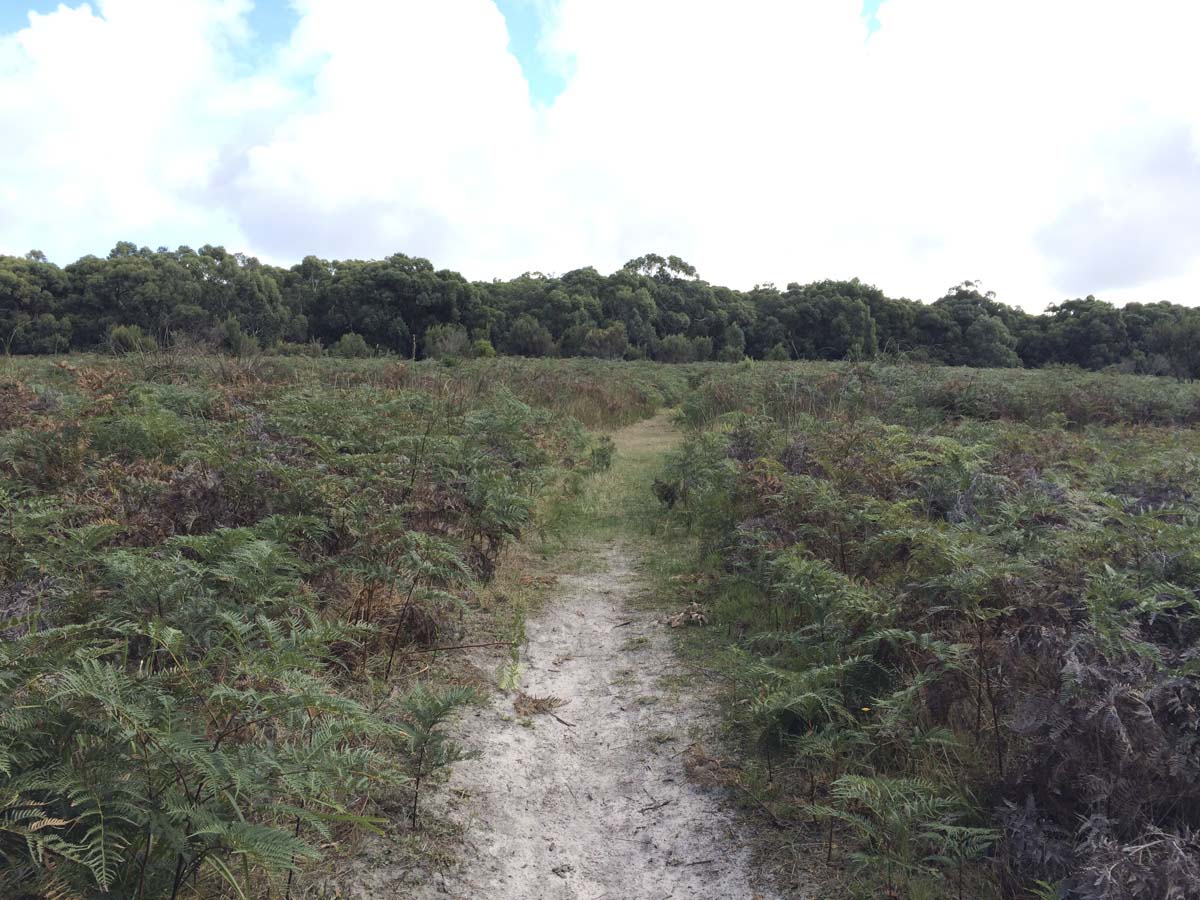 Two bays walking track 22
