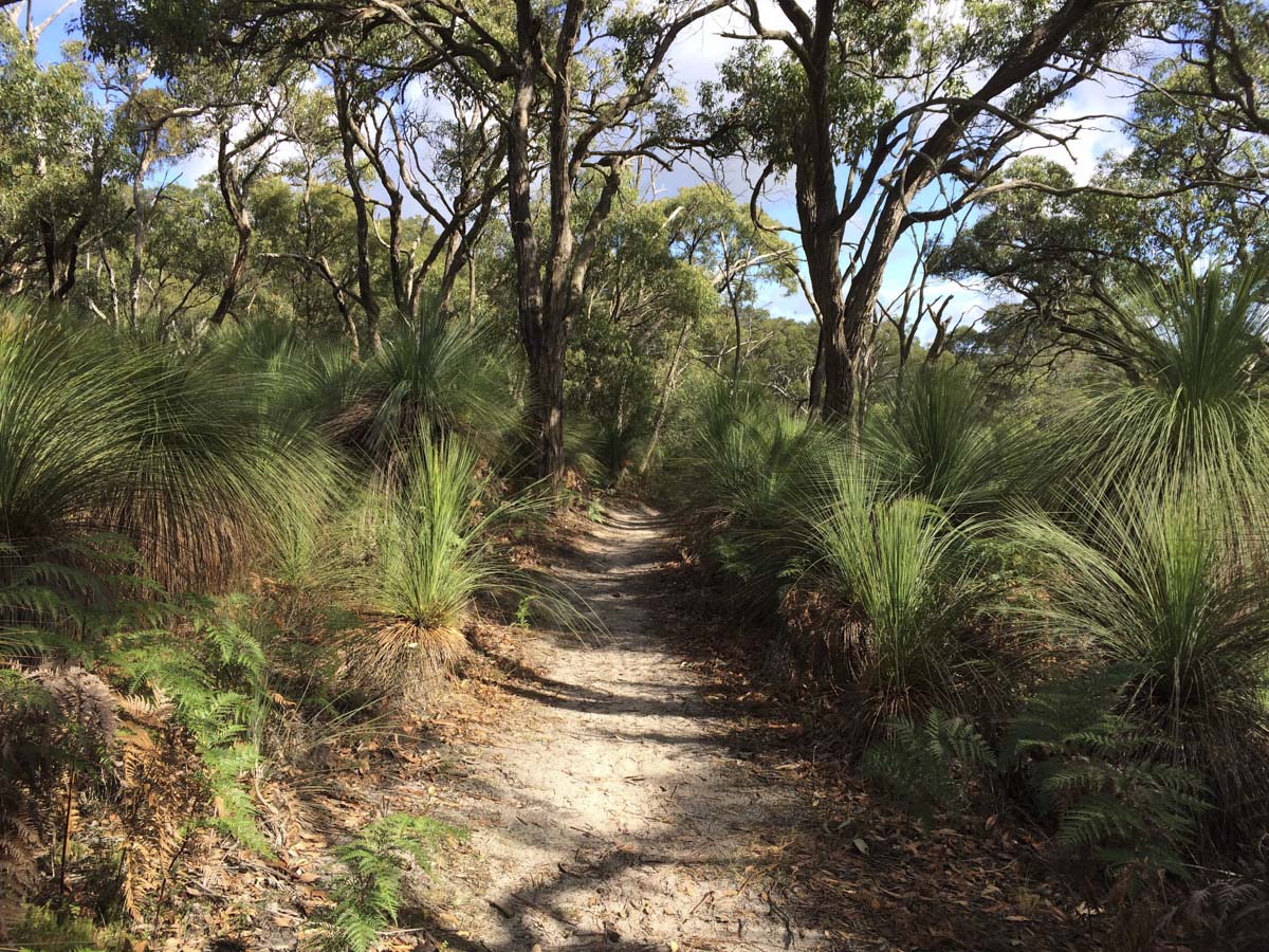 Two bays walking track 23