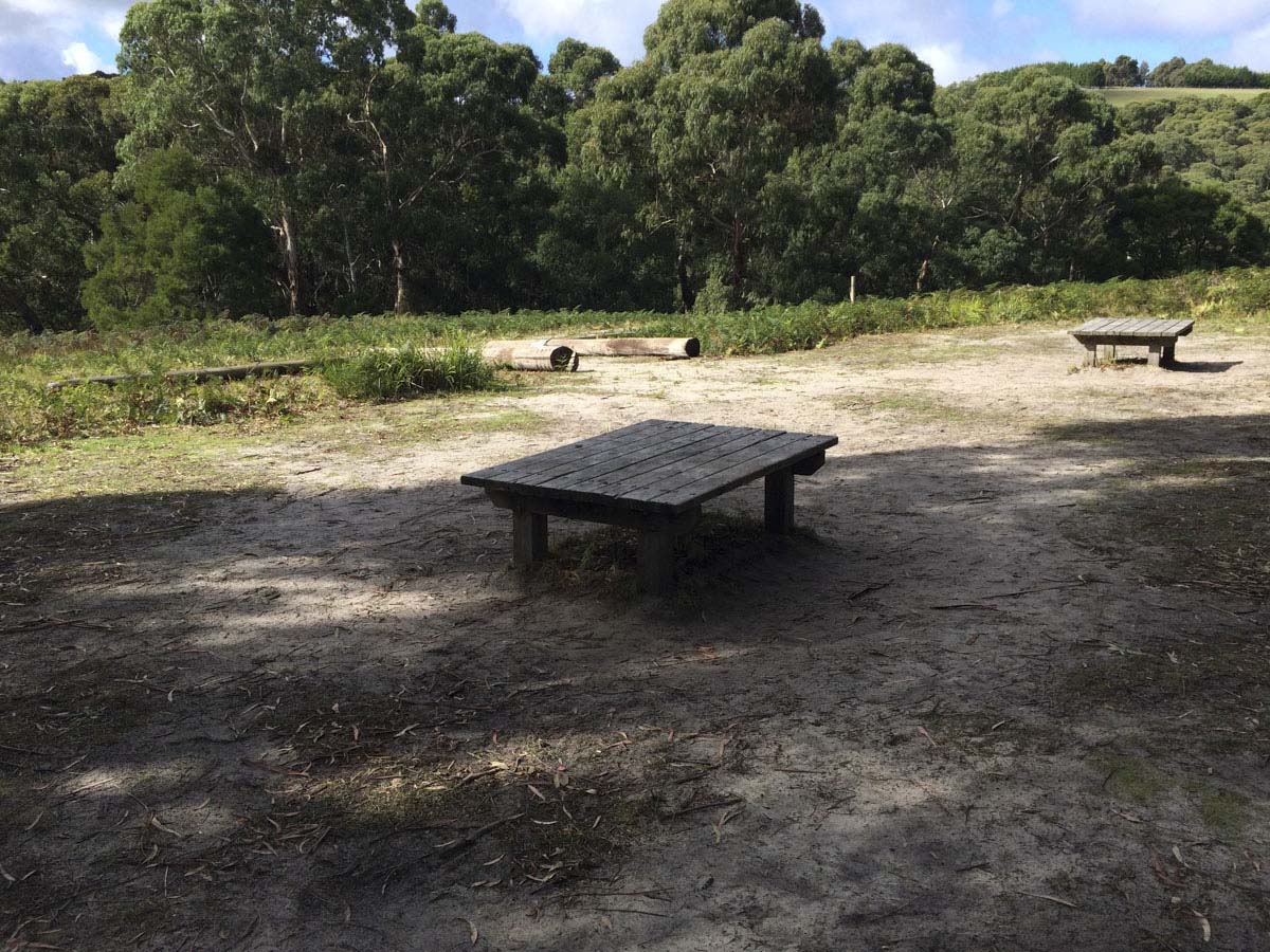 Two bays walking track 24