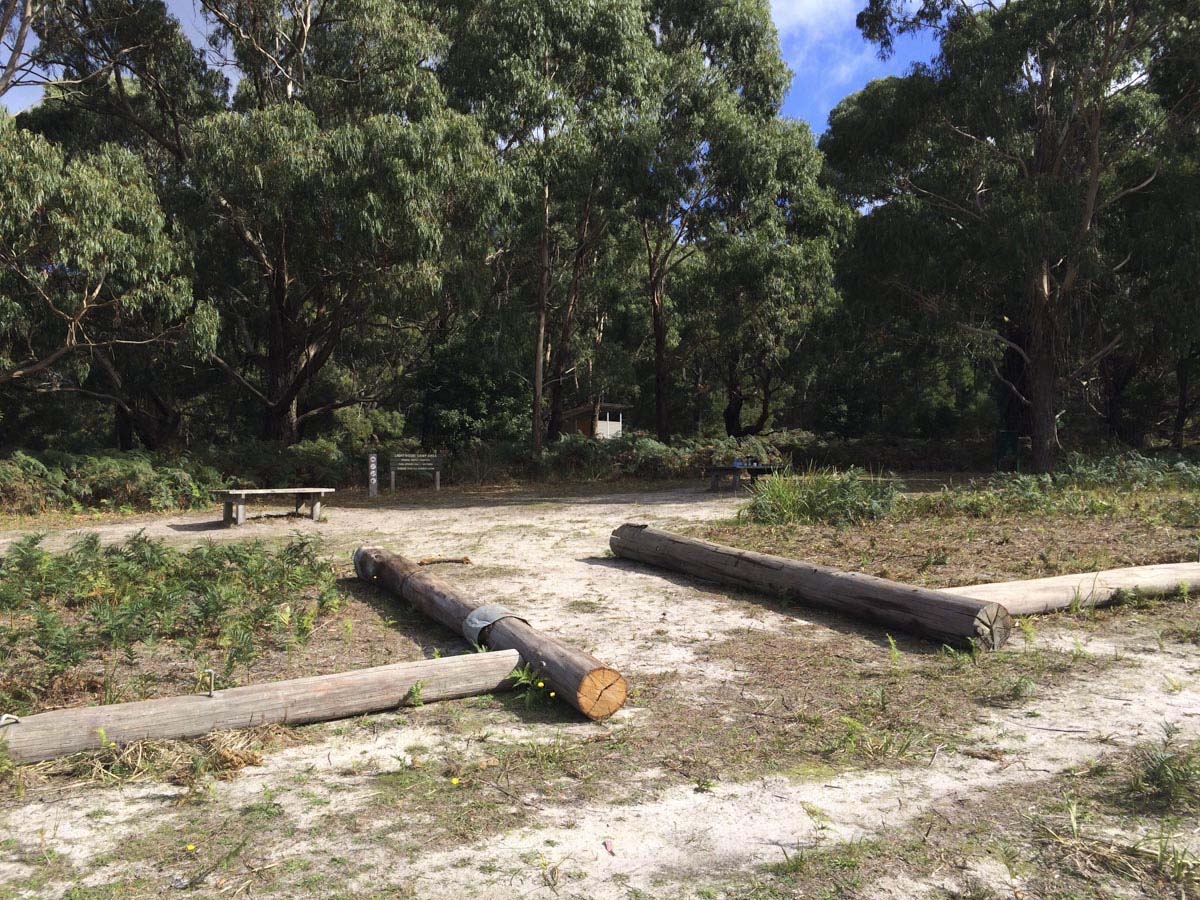 Two bays walking track 26