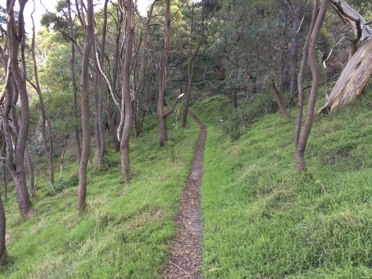 Two bays walking track 28